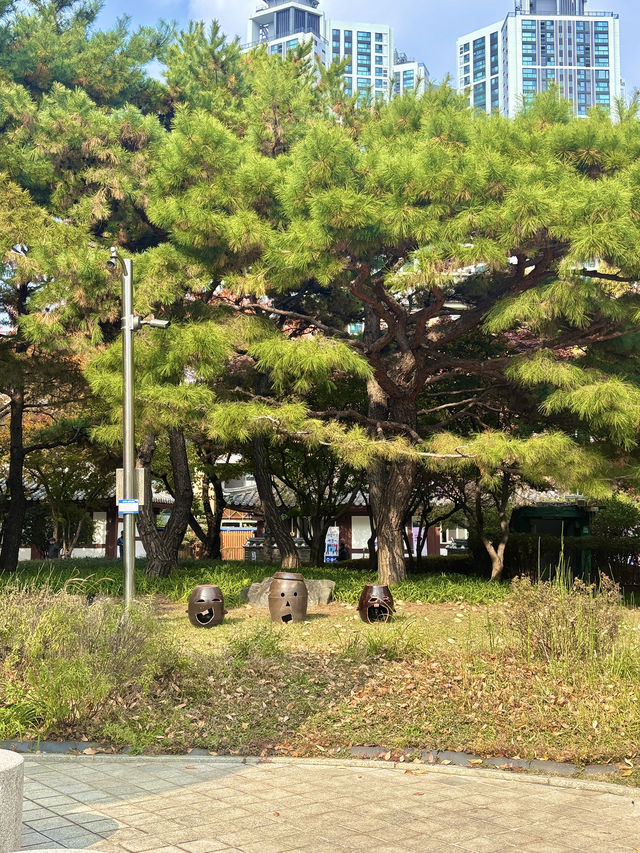 가을공기를 마시면서 산책하기 좋은 역사공간 대구공원❤️