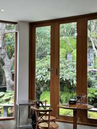 Chom Cafe & Restaurant: Where Flavor Meets Chiang Mai Charm