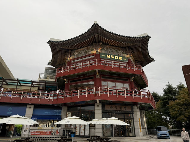 富山の景色を一望