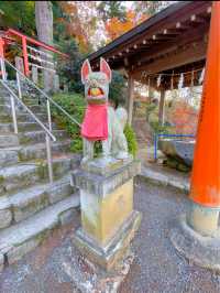 92基の鳥居が圧巻🥰⛩️福岡の浮羽稲荷神社⛩️