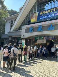 【東京近郊】高美山一日遊🌳玩盡纜車吊車🚡輕鬆登頂