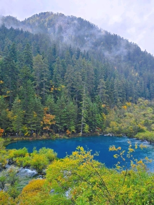 ดูใบไม้เปลี่ยนสีต้องมาที่จิ่วจ้ายโกว🇨🇳🍂🍁