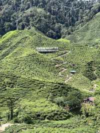 Cameron Highlands with Love!