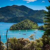 Tranquil Trails and Sweet Treats: Discovering the Havelock Link Track 