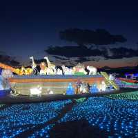 東京ドイツ村・ウィンターイルミネーション🎄