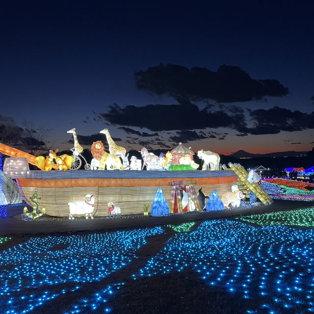 東京ドイツ村・ウィンターイルミネーション🎄