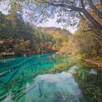 jiuZhaiGou Beautiful Fairytale World