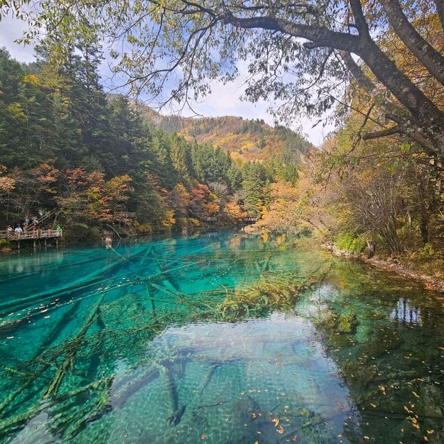 jiuZhaiGou Beautiful Fairytale World