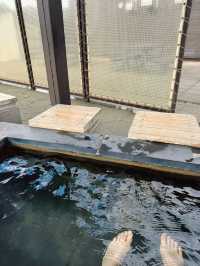 【群馬】道の駅でポカポカ足湯体験♨️