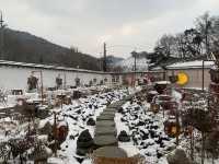  "한옥에서 만난 힐링, 풍물기행 🏡