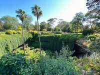 Enchanting Visit to the Sunken Gardens