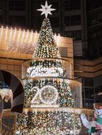 聖誕濃度100+🎄✨