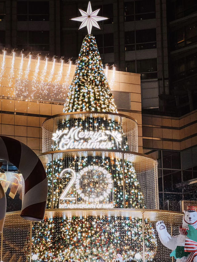 聖誕濃度100+🎄✨