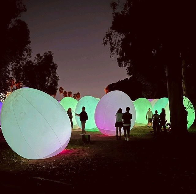 大阪景點|走進夜間奇幻世界—大阪長居植物園teamLab