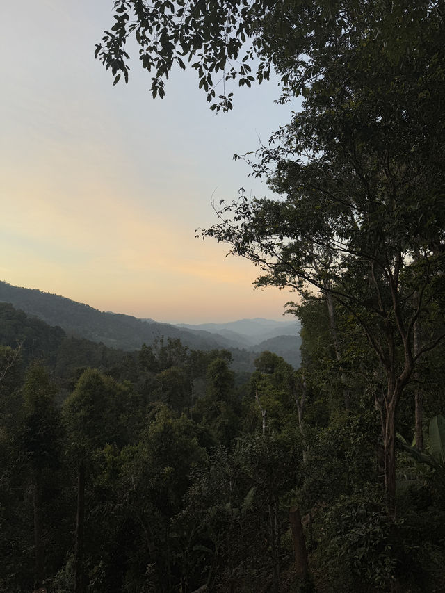 เที่ยวเชียงใหม่ 🤍 Phudin in Mork 