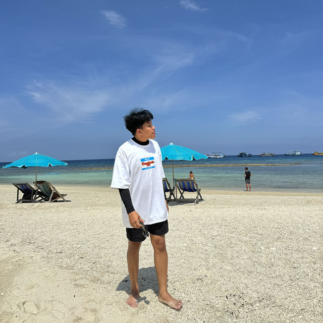 เกาะเต่าๆ