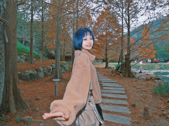 落羽松秘境！結合泡湯住宿的人間仙境！