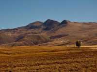 Fiery Tagong Grassland [Tagong Grassland in Autumn]