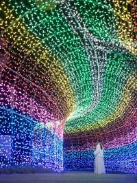 【1000円で楽しめる！✨】東京ドイツ村のイルミネーションが充実すぎる！🎄🎵