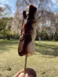 Japan Local Foodies: A Taste of Tradition