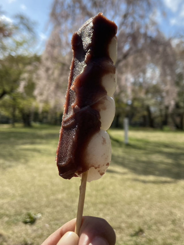 Japan Local Foodies: A Taste of Tradition