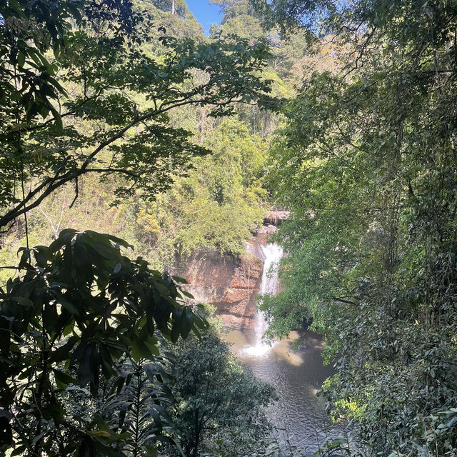 Khao Yai national park