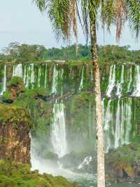 Iguazú National Park..이과수 하이킹..