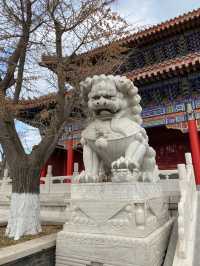🇨🇳봉래_ 화려하고 아름다우며 신선이 사는 삼선산풍경구✨