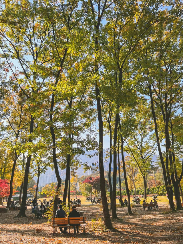 서울근교 단풍 명소! 가을을 느끼기 좋은 의정부 파크프리베 카페 