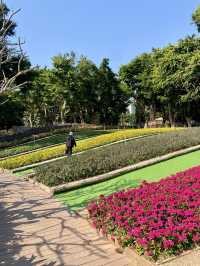 🚶‍♀️‍➡️🌸 人在花叢中｜香港賞花野餐首選海濱公園🥇🌹🌈