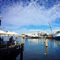 Fresh Catch Delight: Cicerellos Fremantle