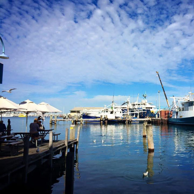 Fresh Catch Delight: Cicerellos Fremantle