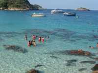 A Tropical Paradise Awaits: Redang Island