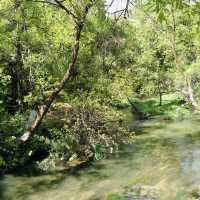 Whispers of Water: My Journey Through Black Dragon Lake