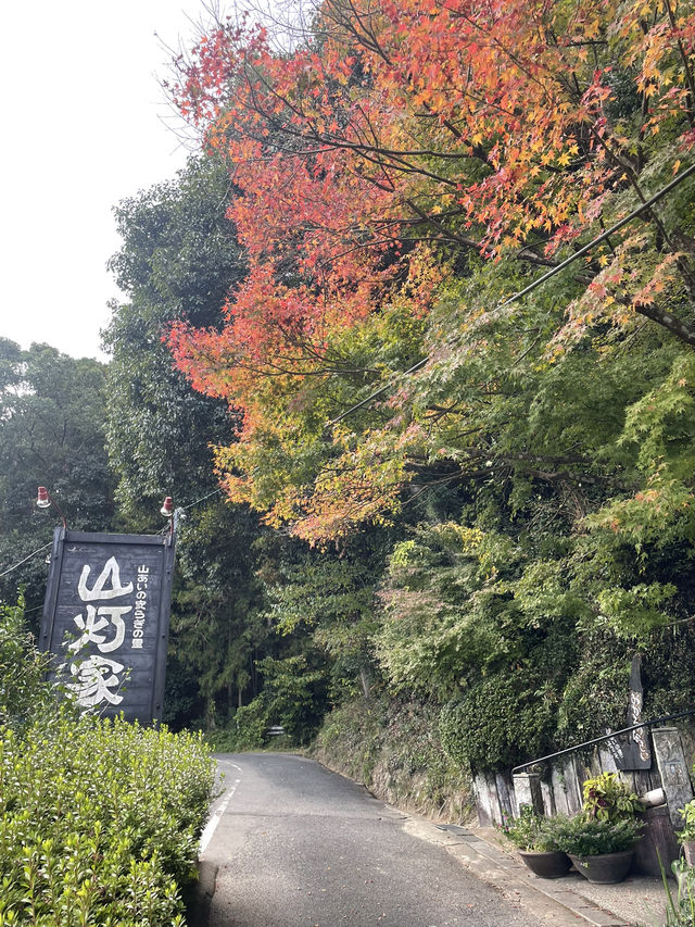 【福岡グルメ】リーズナブルなのに大満足な炭火焼屋