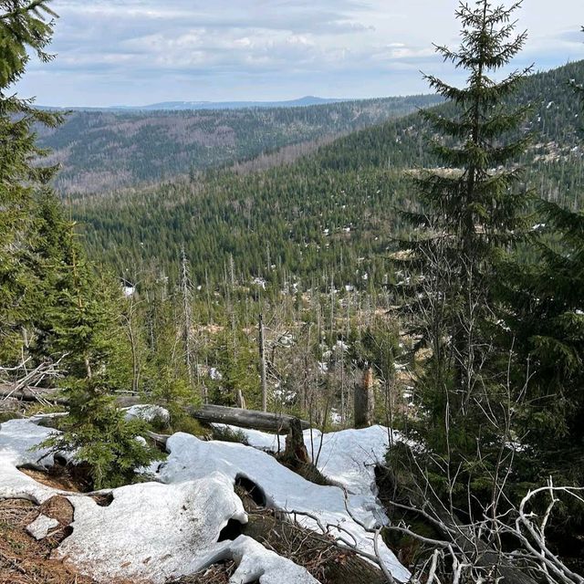 Bavarian Forest National Park