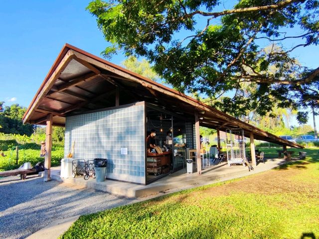 พิกัดคาเฟ่ ริมน้ำปิง เชียงใหม่ 123 glamp•