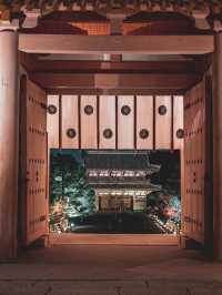 ✨ 秋の仁和寺ライトアップで幻想的なひとときを ✨