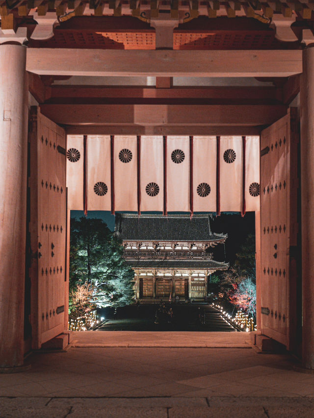 ✨ 秋の仁和寺ライトアップで幻想的なひとときを ✨
