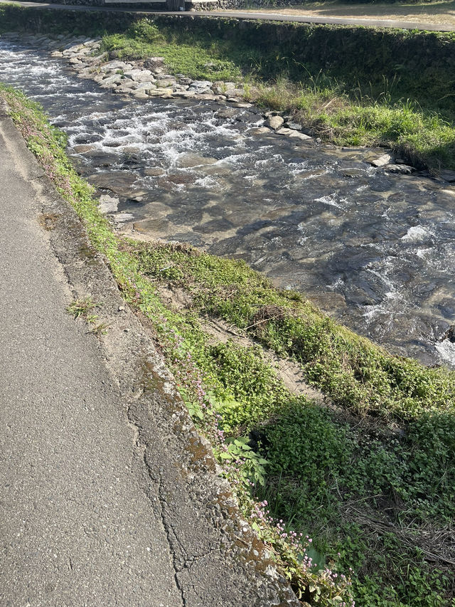 【福岡グルメ】自然豊かなテラス席が魅力なカフェ