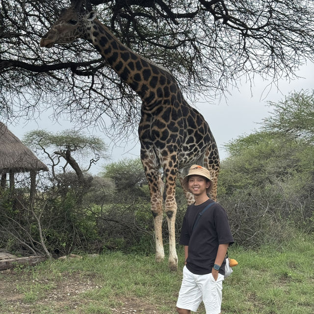 Nguuni Wildlife Sanctuary, Kenya 🇰🇪