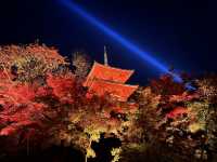 Night Photography Extravaganza -- The Kiyomizu-dera 