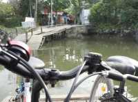 Hong Kong’s Hidden Wetlands: Our Nam Sang Wai Cycling Trip