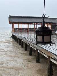 日本廣島-嚴島神社：世界文化遺產，此生必來朝聖靈氣十足又神聖之處