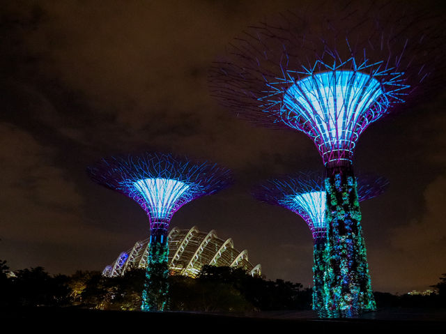 Gardens by the Bay 🌿✨🇸🇬