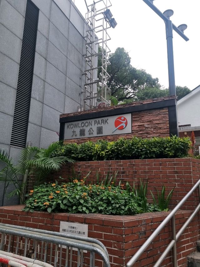 도심 속의 평화로운 공원 : 구룡공원(Kowloon Park)🇭🇰