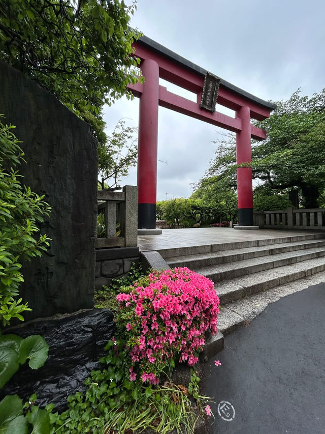 龜戶天神社也被稱為「龜戶天滿宮」