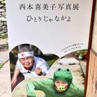 【香川県】３年に1度の芸術祭　in瀬戸内芸術祭