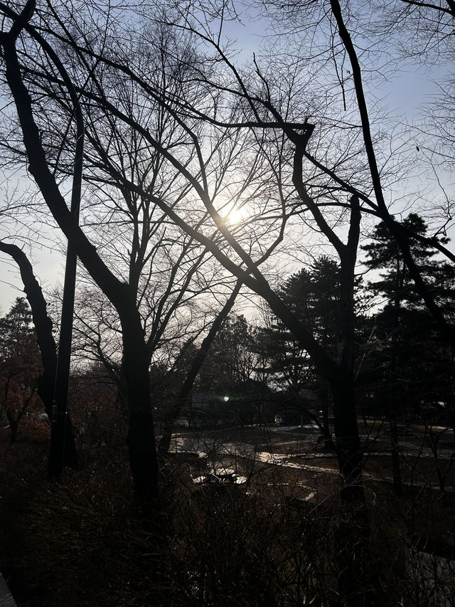 하얼빈 의거의 역사적 의거를 담은 안중근의사동상🇰🇷