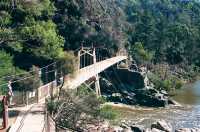 Nature in Launceston — The Cataract Gorge